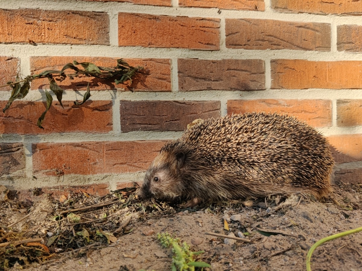 9cb65e8f-84bf-4301-a390-ce23eb1faac5