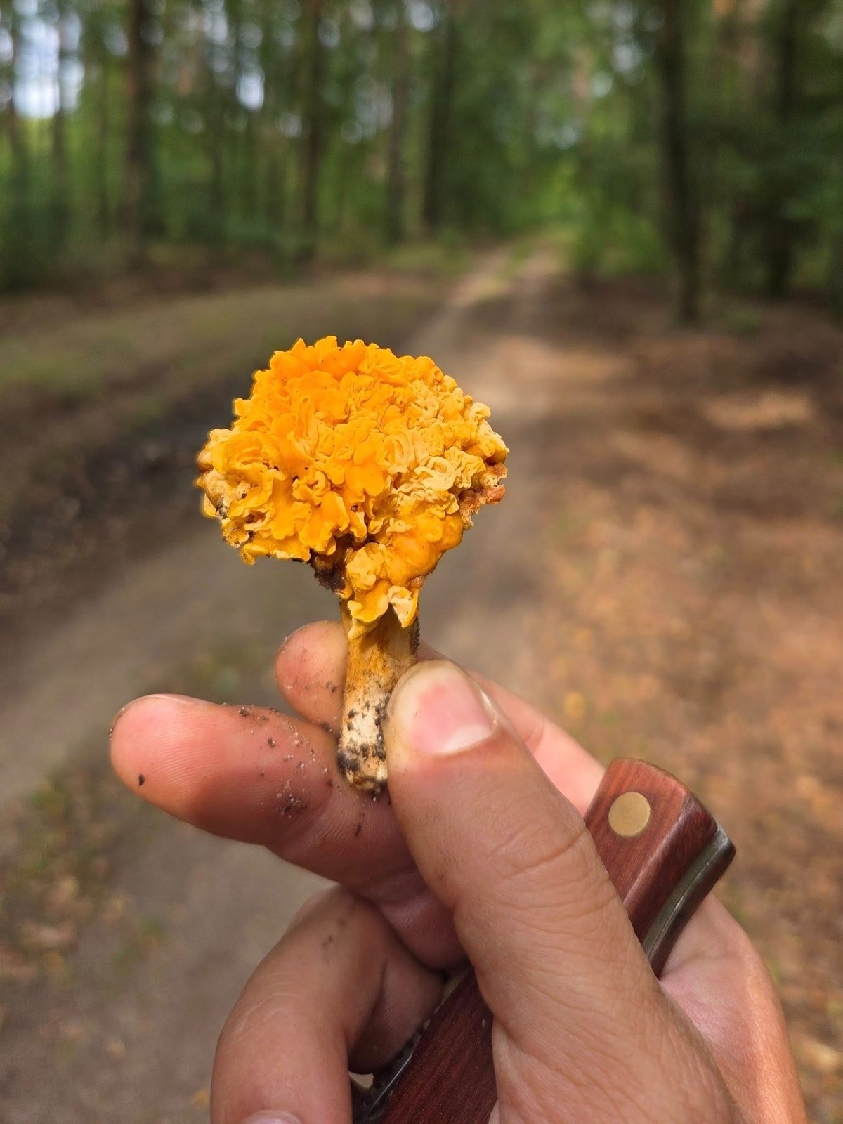 ae7d5c4e-0a32-489e-b0c8-77dca6f25238