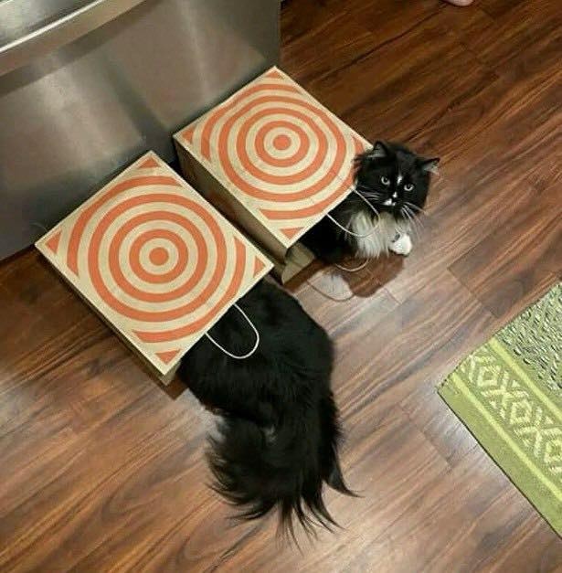 e69d33af-3b08-4b8e-b1c1-c1ed8b640e5d