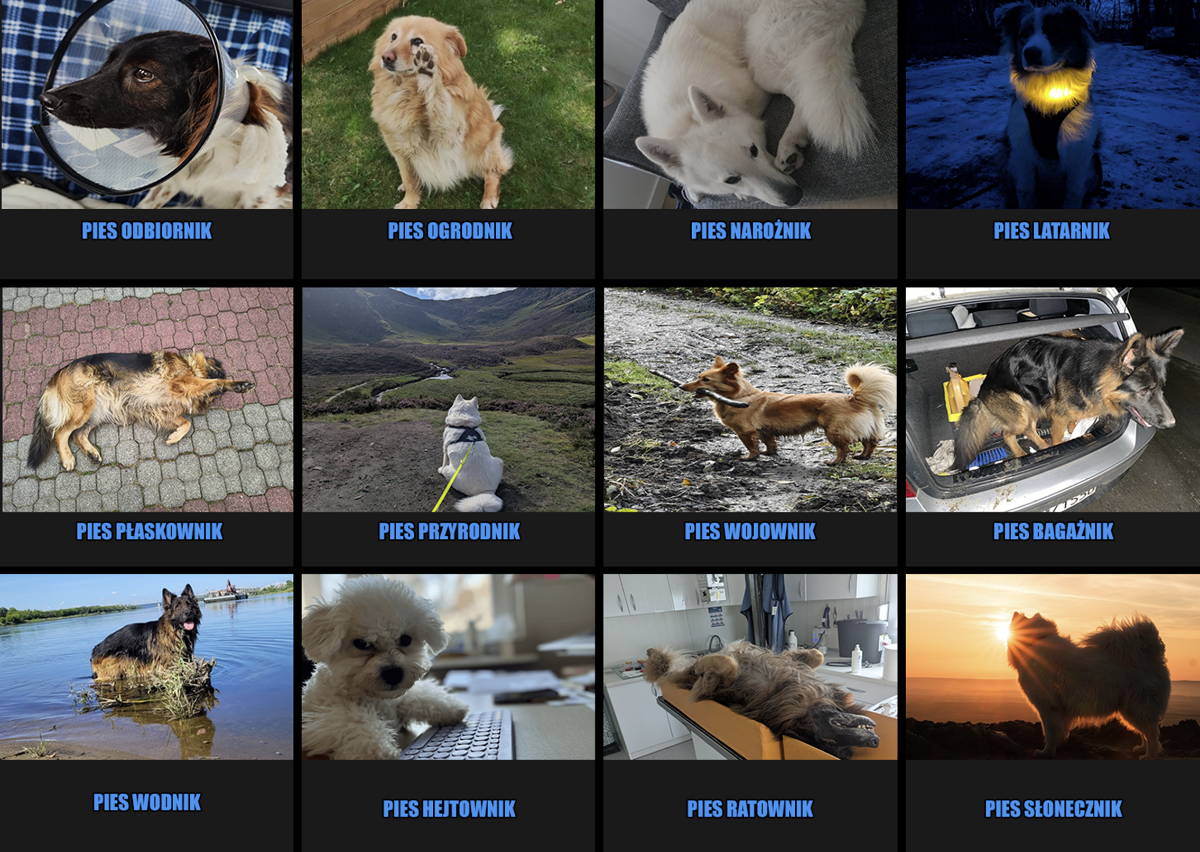 a4ab757b-e319-447a-a54c-b729ed97a705