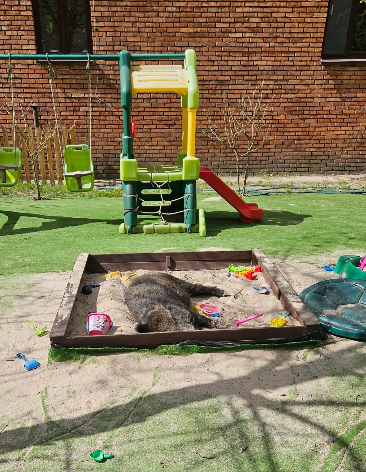 Burza po zabiciu dzika Henia. Fala krytyki wobec Rafała Trzaskowskiego