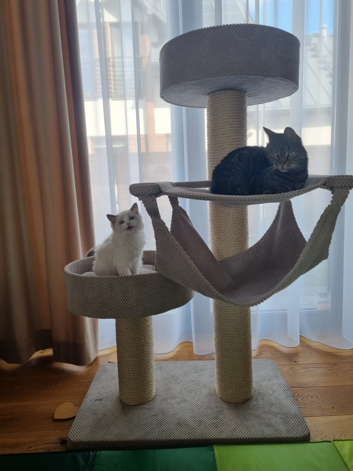 ed9b8df8-e945-4910-b4ec-cbfb0305571c