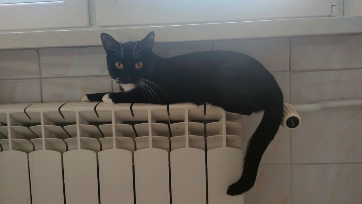 03d515ab-291b-4a45-b155-d774c8bc3221