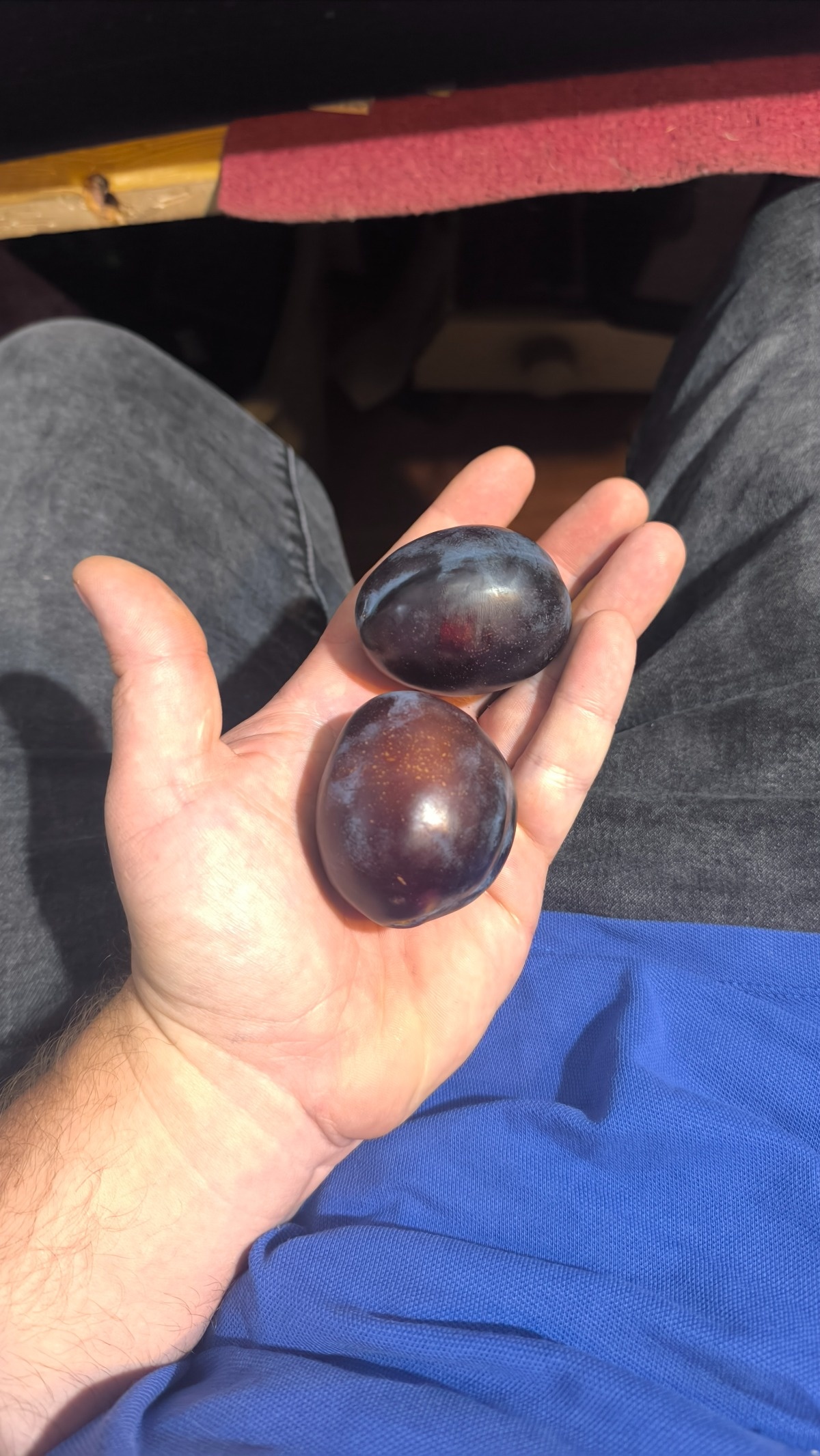 b42c2c67-ffcf-455b-8e7f-7a45ebe36d4a