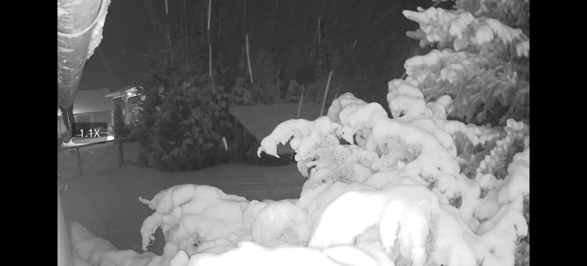 1b5ae968-20ff-4862-8b37-7a7c1ecc651f