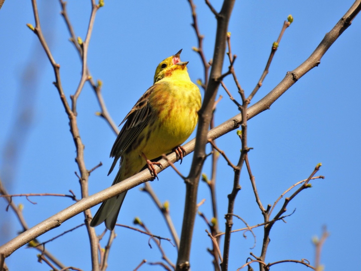 bfc789d4-a59d-40a0-ada6-5f2832a0329c