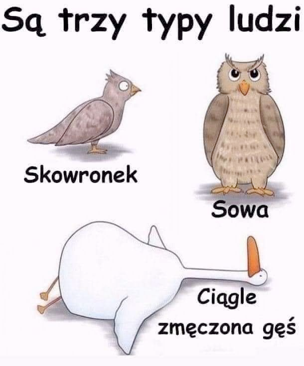 62193854-990b-4ee4-99c4-706af2528c48