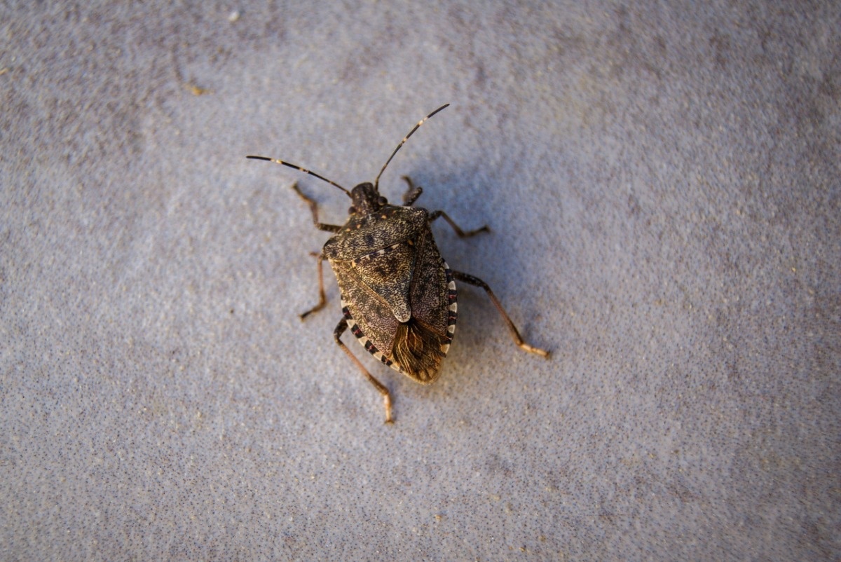 d482e74a-8a59-4848-9083-89a2c20aa55d