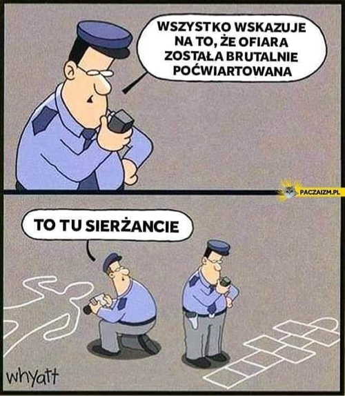 083af0d6-c4f4-4991-8fb1-f146af0d2bd9