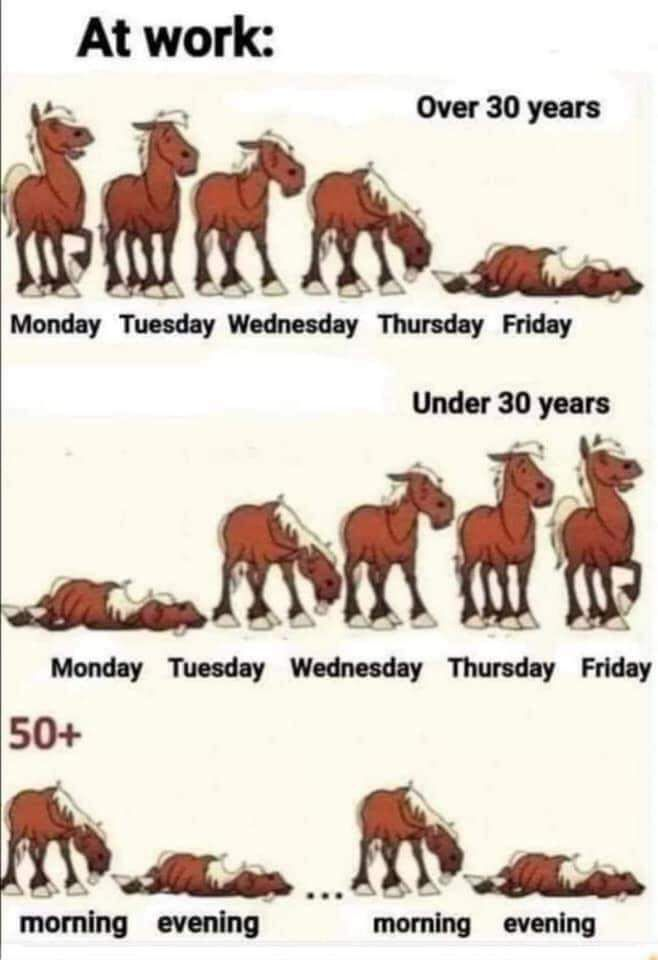 9cd17900-86c6-4d9c-9a9e-028e76d85d89