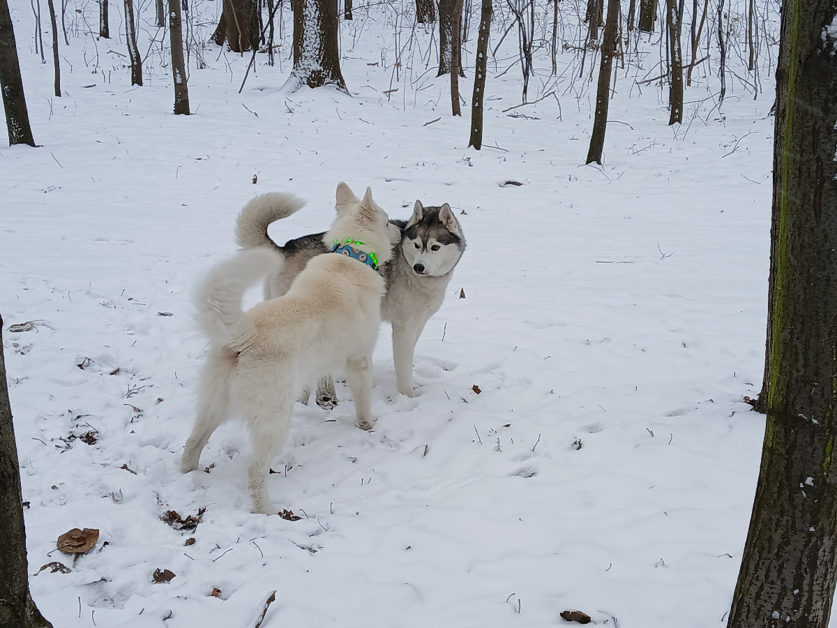 2d39d72d-7ab4-4c8f-9449-fc883da0e83f