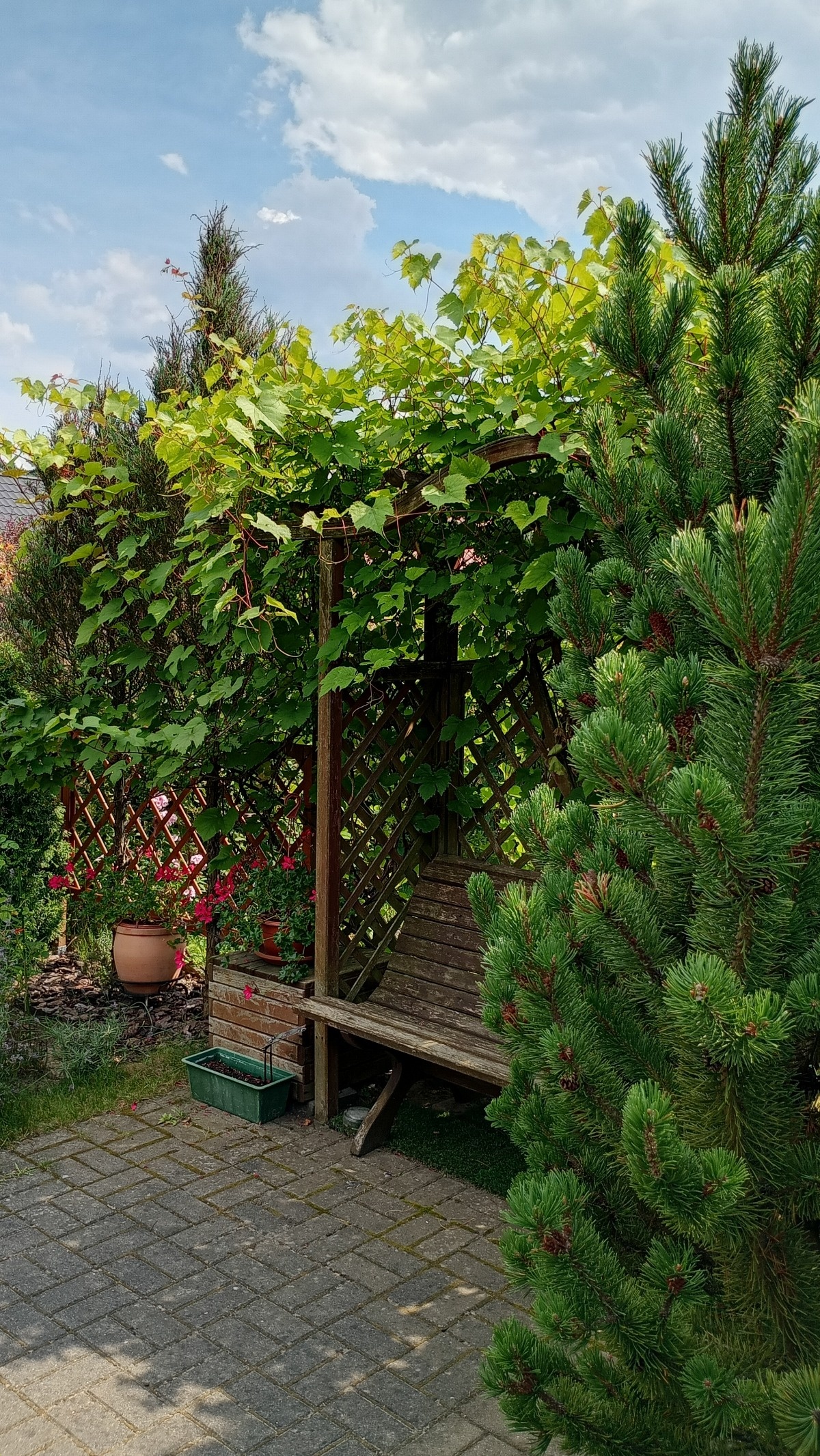 f8ebd879-db12-47f2-9d8e-c8c07b8d4241