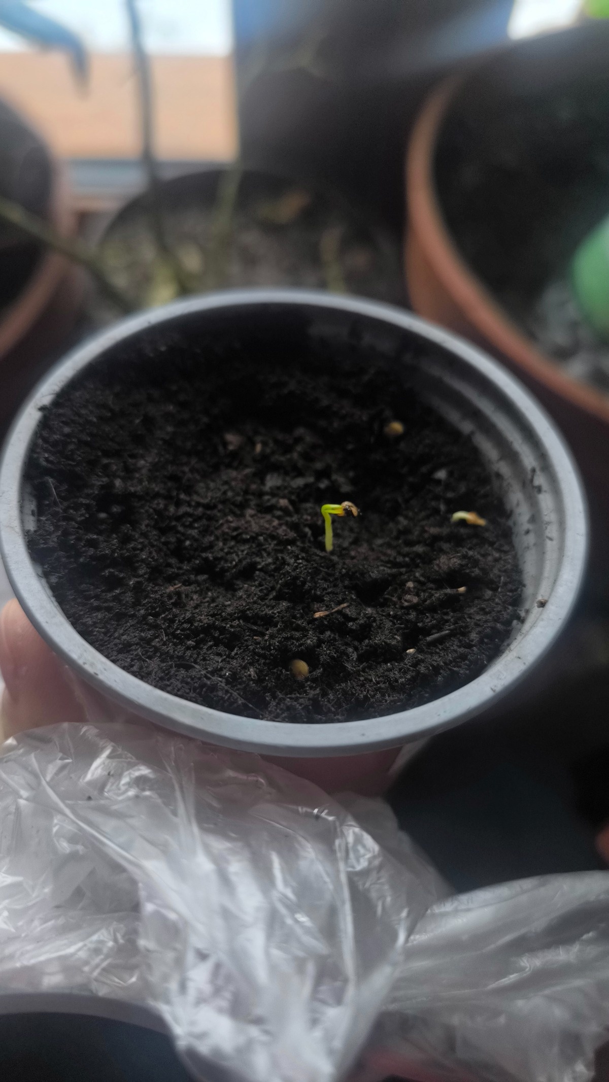 15b68b4c-9c4d-4c98-bf95-b9b6d4a79432