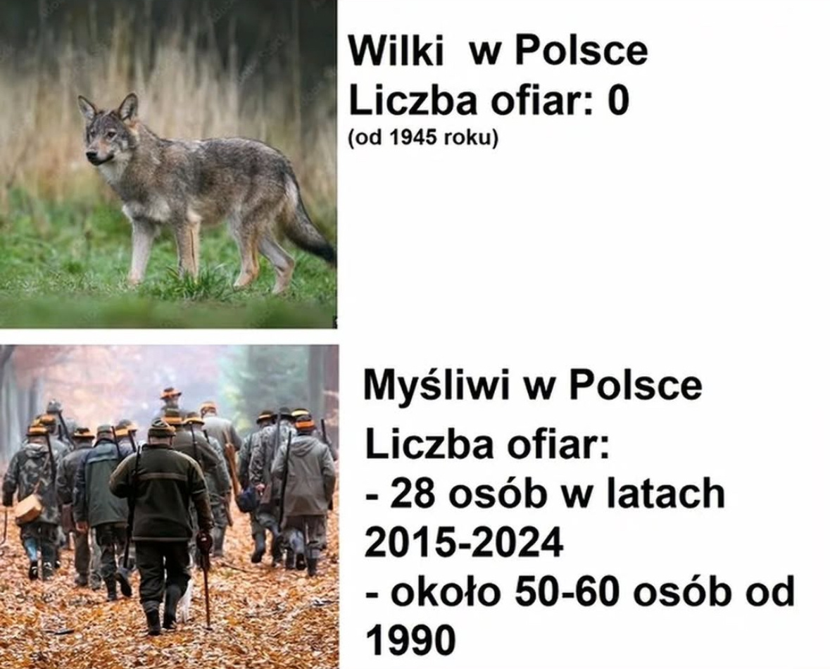 d217f615-c732-4e67-b75e-03e1af37093f