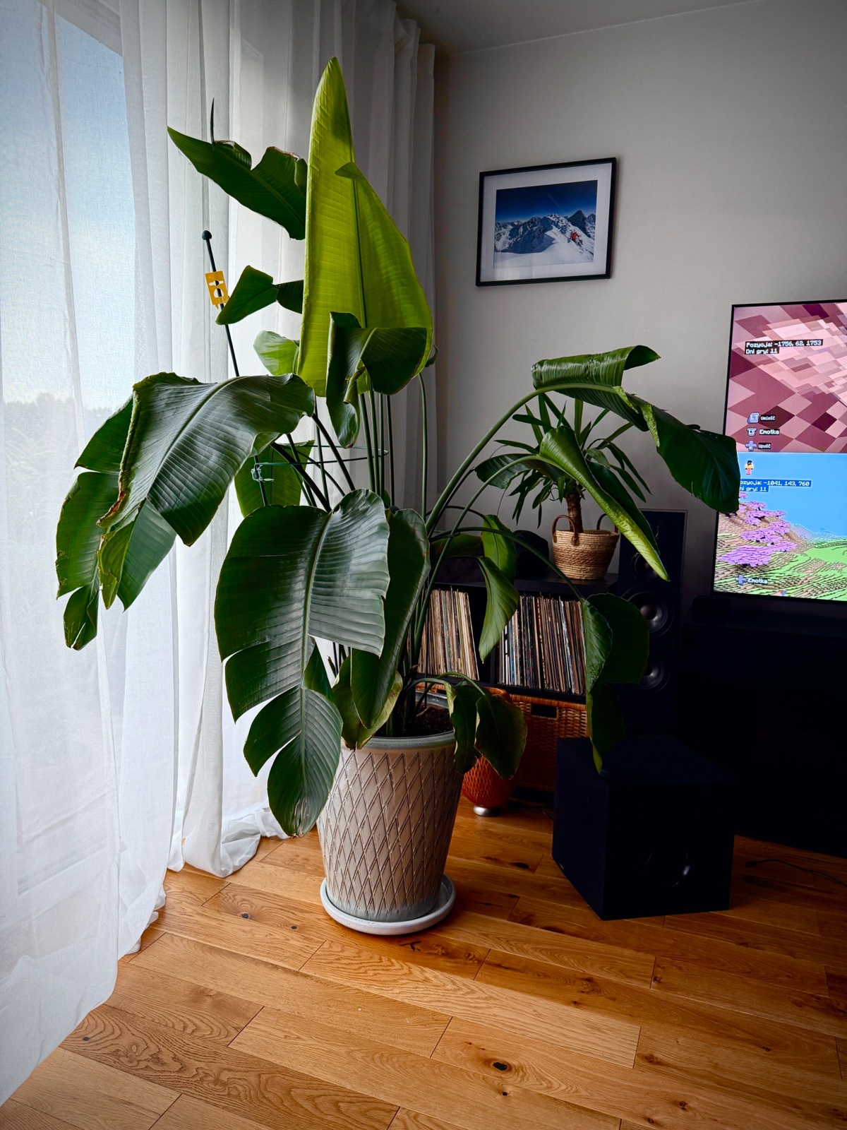 0da4bda1-65e2-460f-97e6-51aaaaf3e9fd