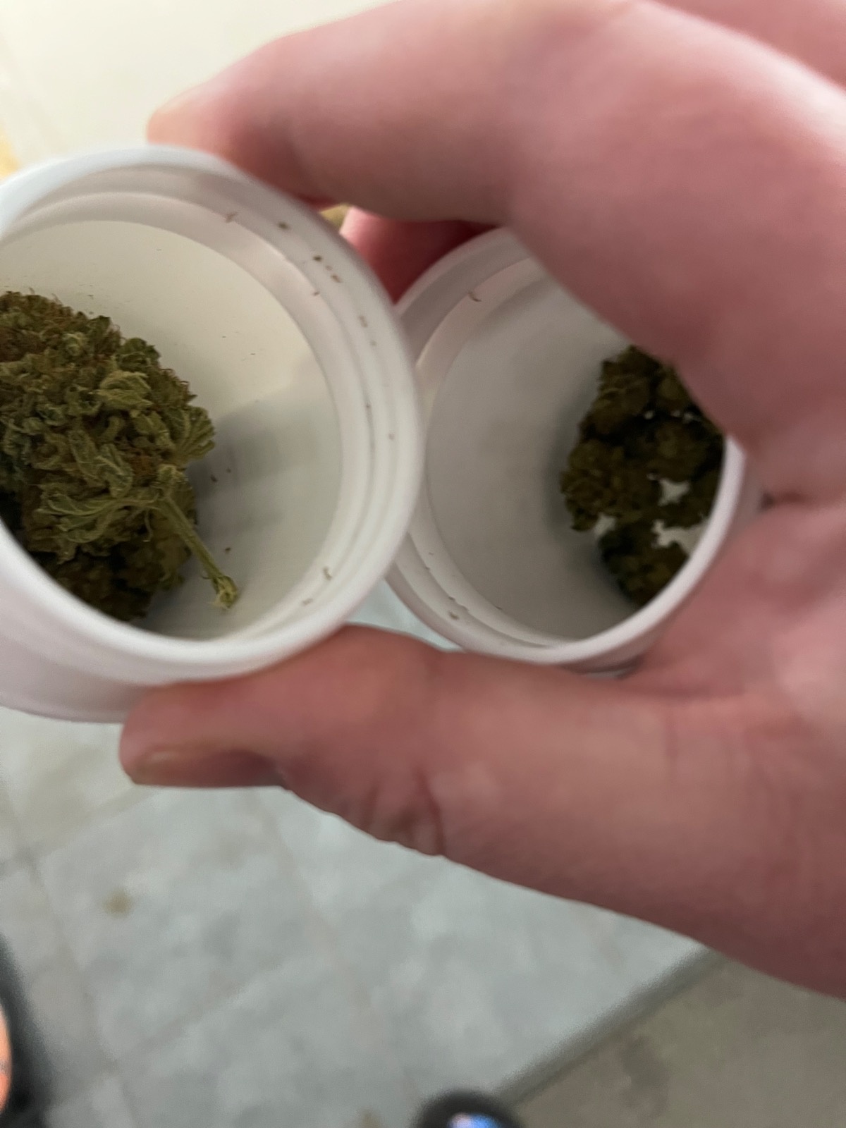 81772cbb-6990-4743-a4e4-281e91495214