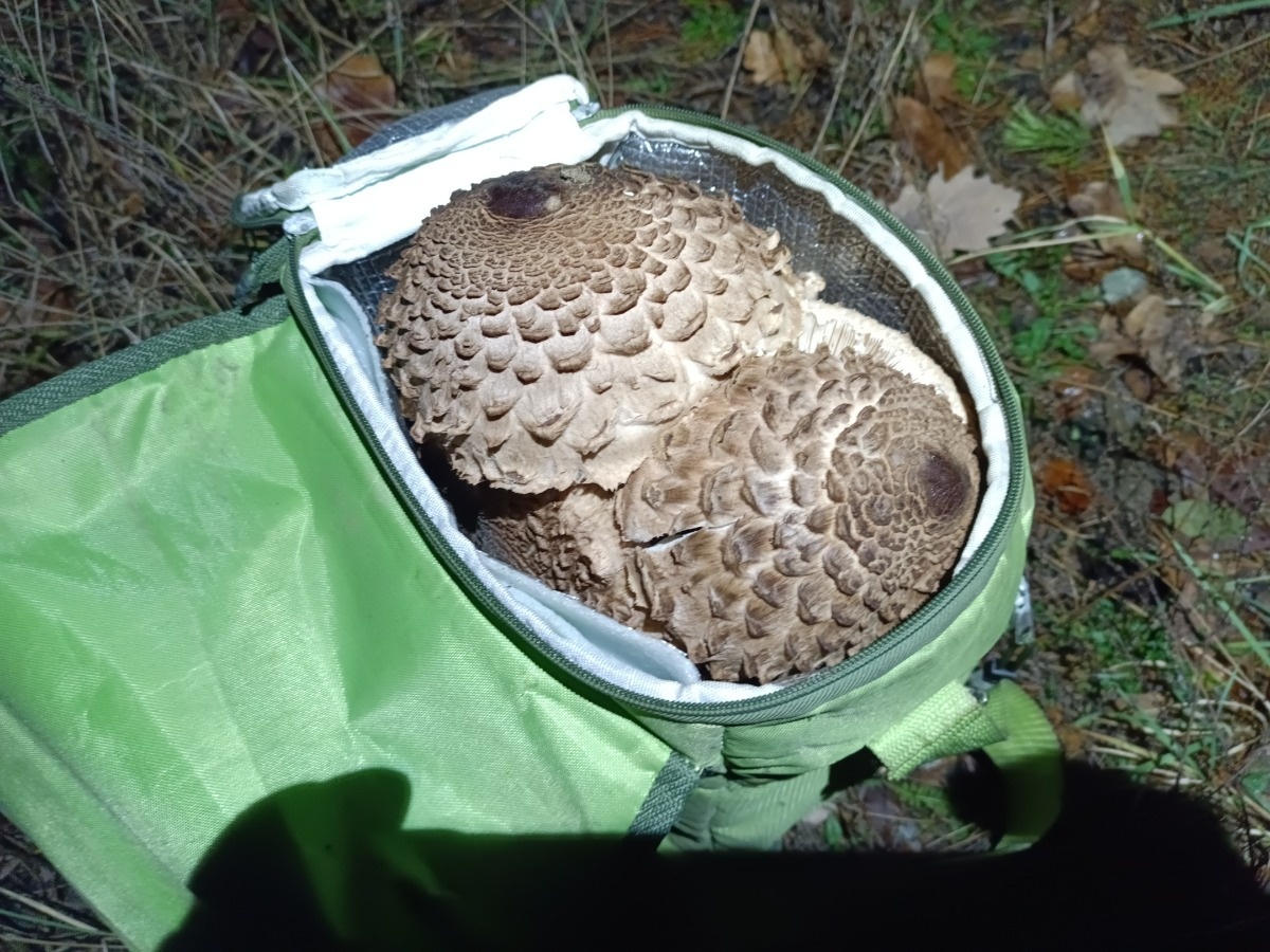 4d362b3e-e569-4fcf-9613-baf971e59c57