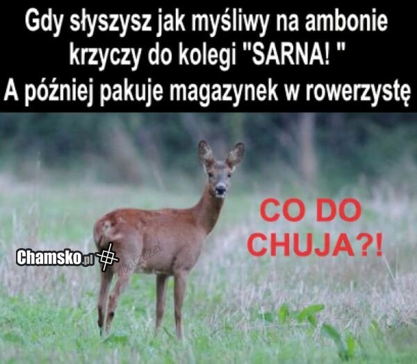 4a25e756-d7bf-45a8-98fe-4718975e5ace