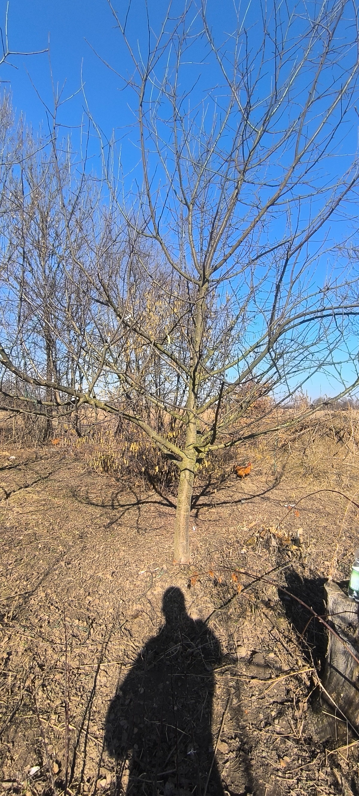 40941930-3486-4e4c-a524-d7ea592570e5