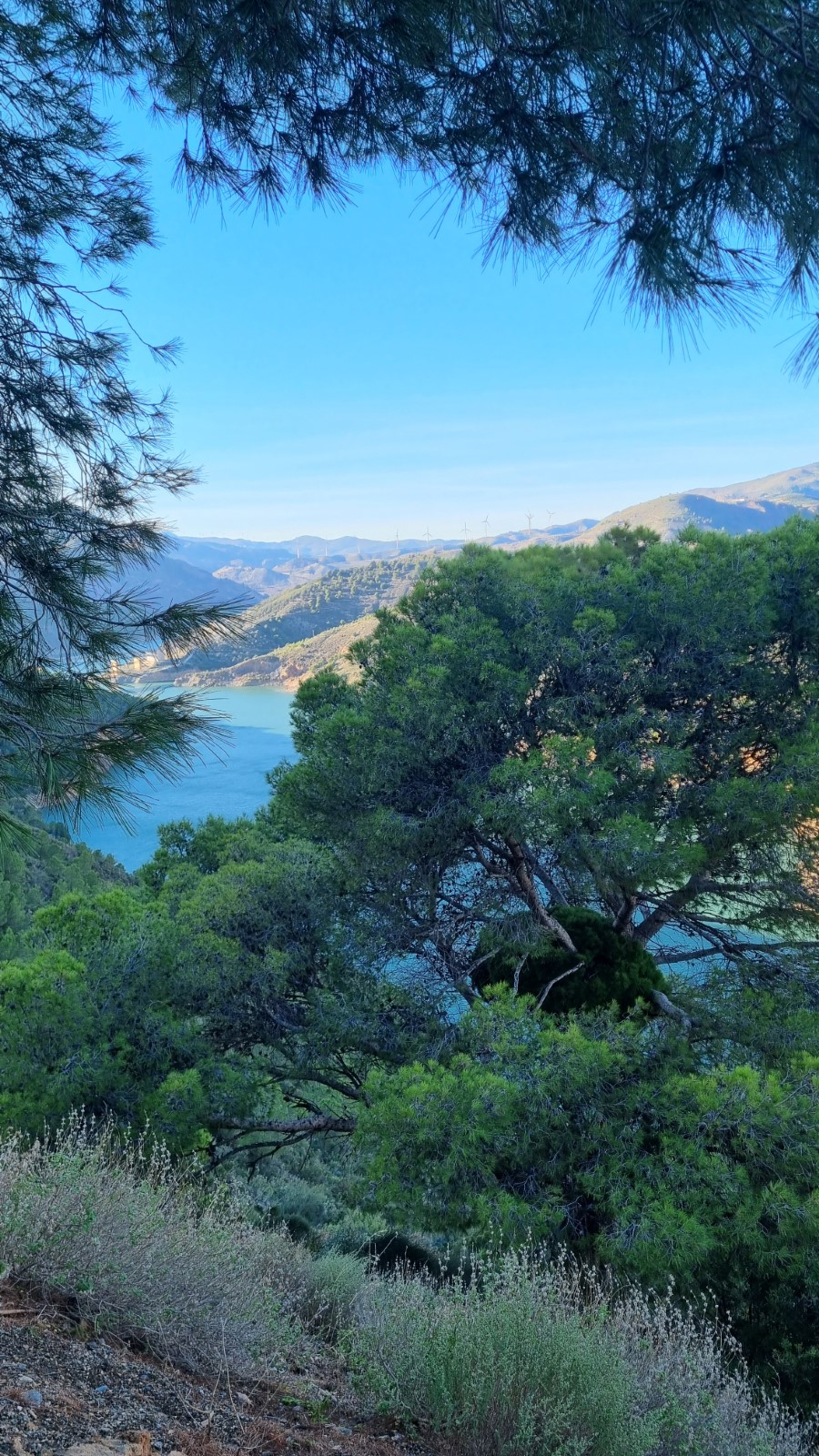 2b3b4d3e-011b-43d9-8abc-1ec444622ac6