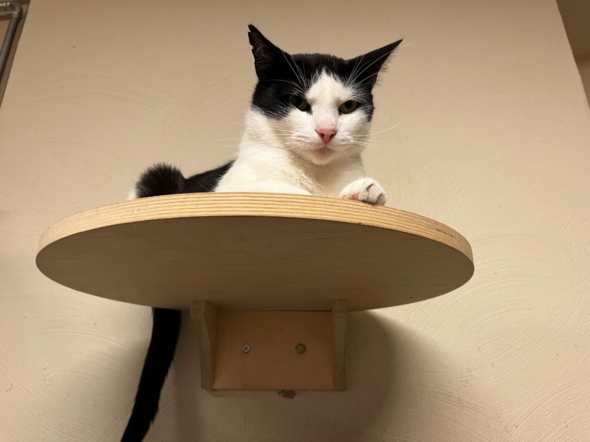 e3b804f5-1fde-486b-bc79-349a50f9084c