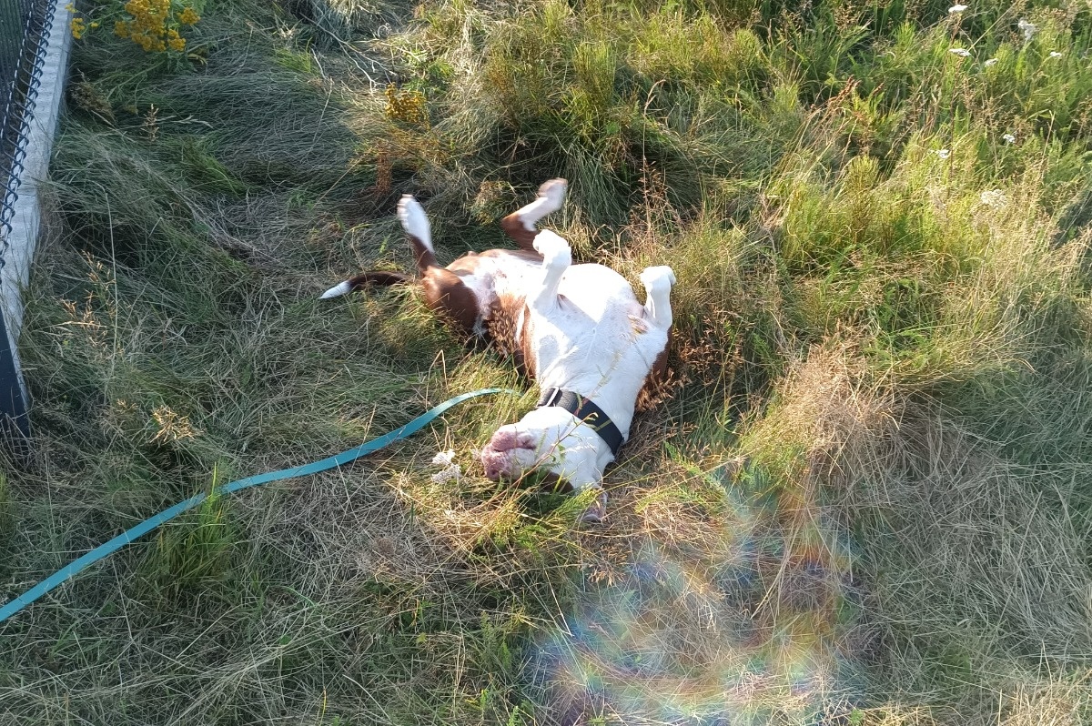 c39a9538-6fb1-478f-be2e-13bd56b2e72e