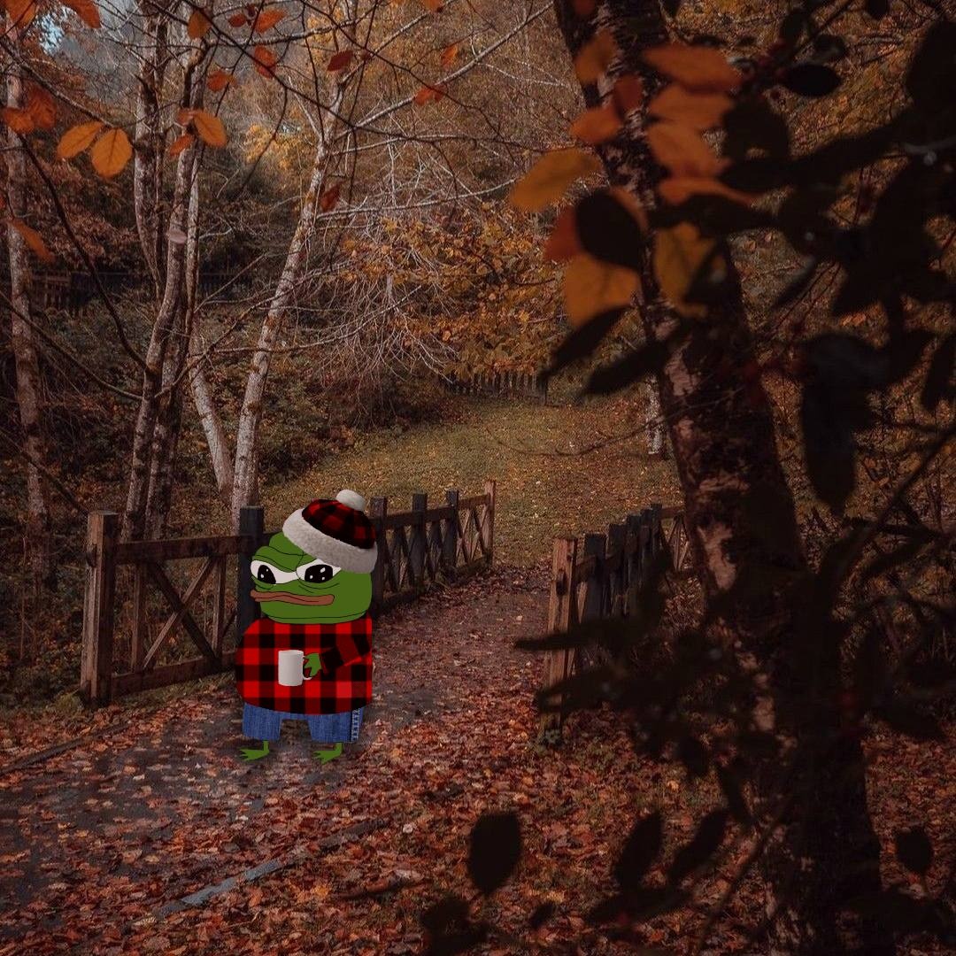 e31cc029-e774-4c6f-b286-0b49fbcf22d3