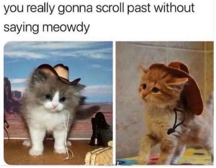 77aef497-e7cf-4f1e-824b-4744069aa397