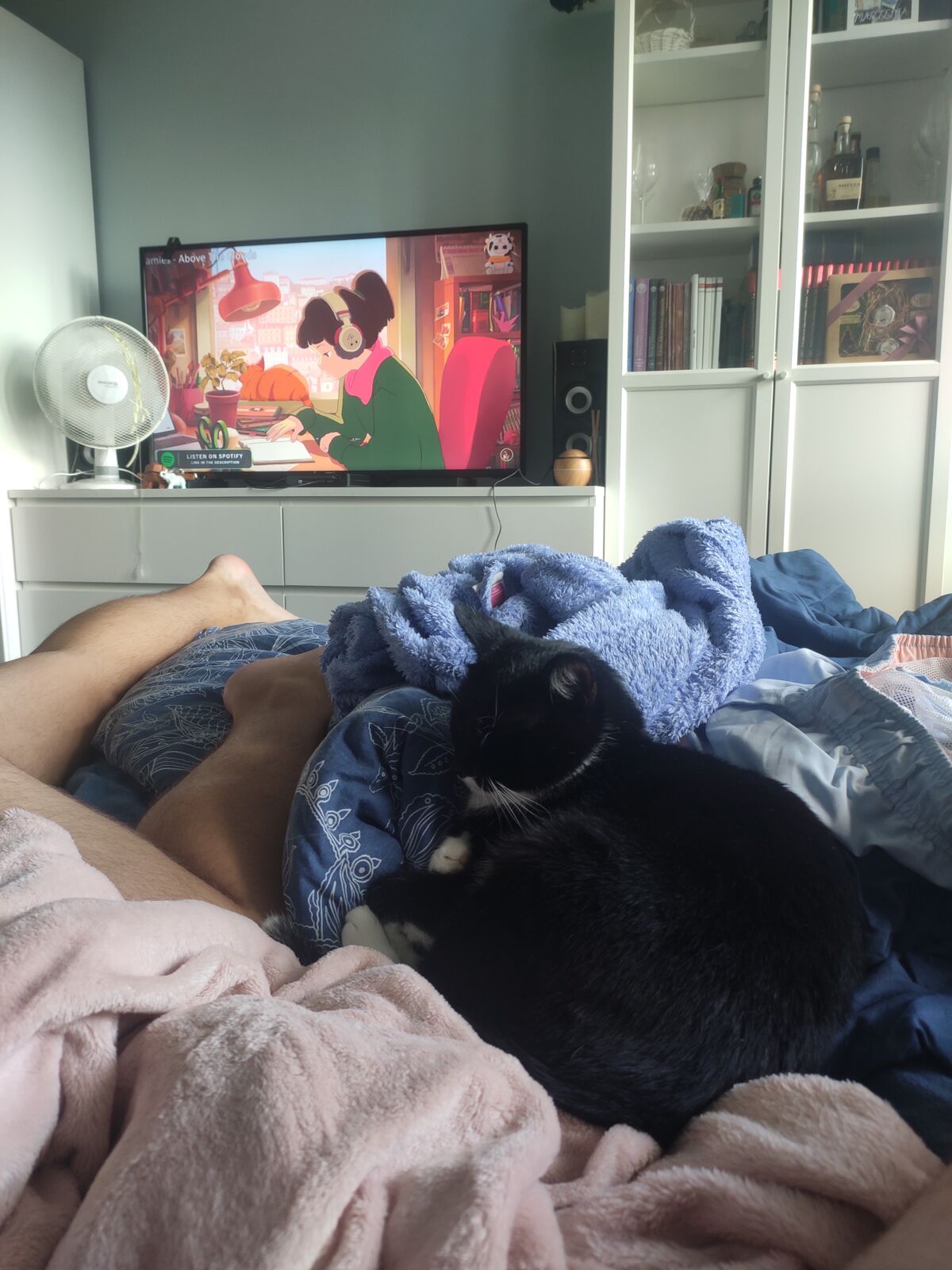 d7af965b-3a95-4ab8-8339-85fc464801a0