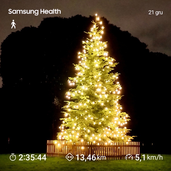 20b52fbc-b299-4b70-a74f-e31c108a8d6a