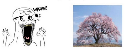 bde6d3e8-14a1-4249-ad1d-a5e974e757cc