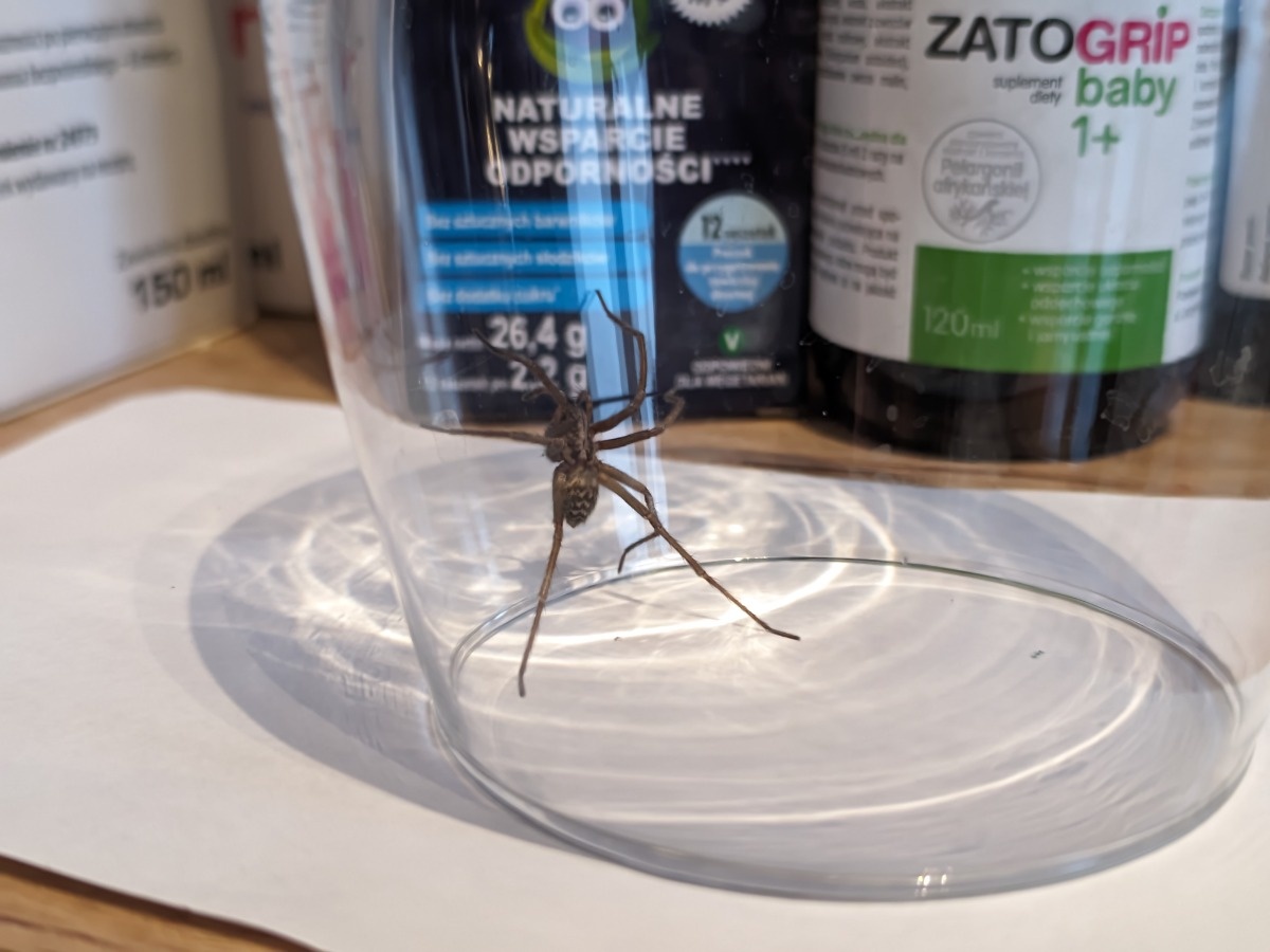 58d4fee7-1b17-4988-ba4f-aa3a7da34bb0