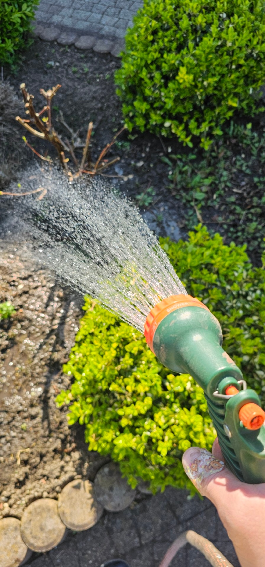 39f9b9c3-433f-4137-baea-ed3d65b20cf4