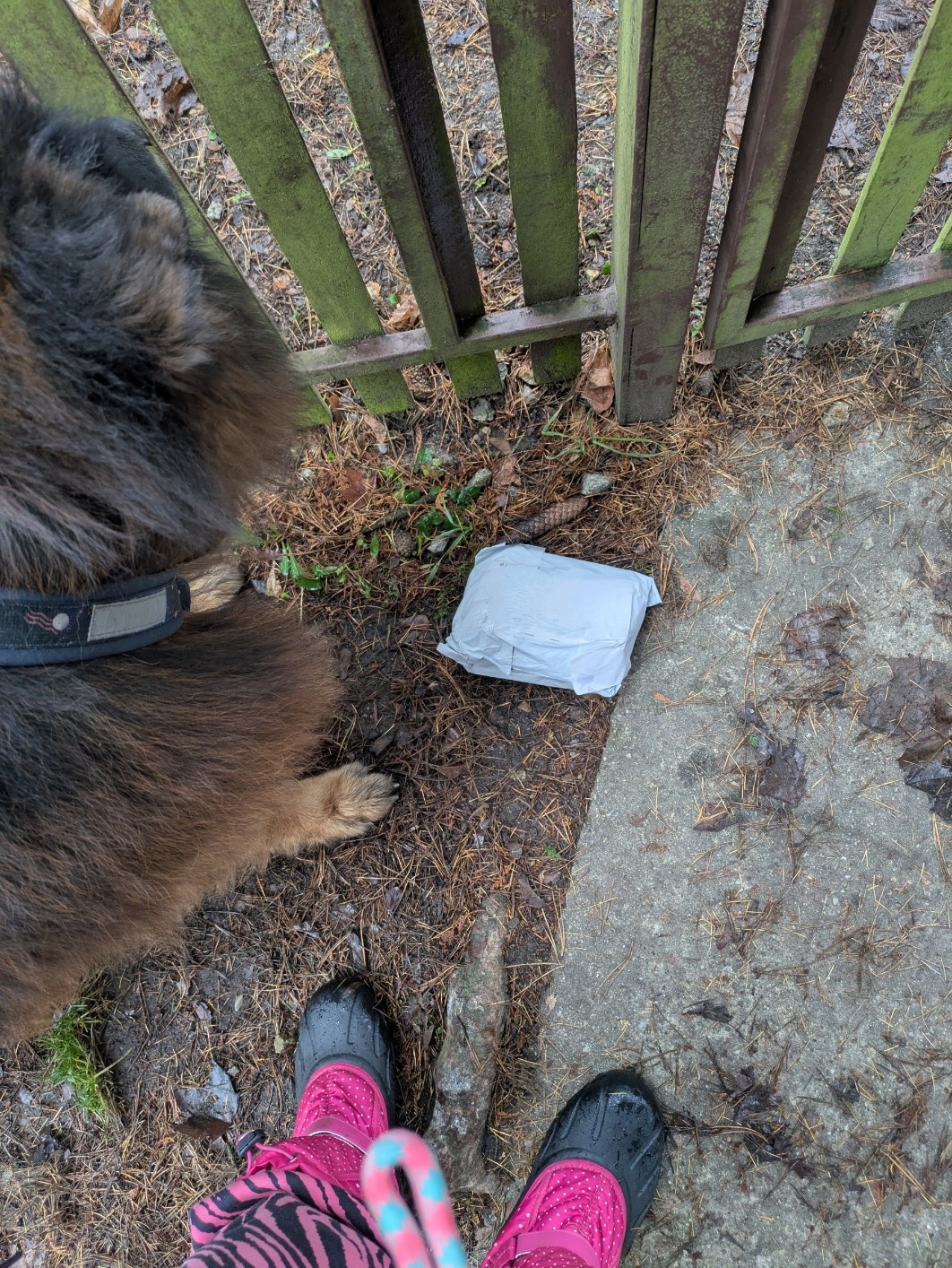 b93030d2-226b-40b7-a6b2-072015d28f12