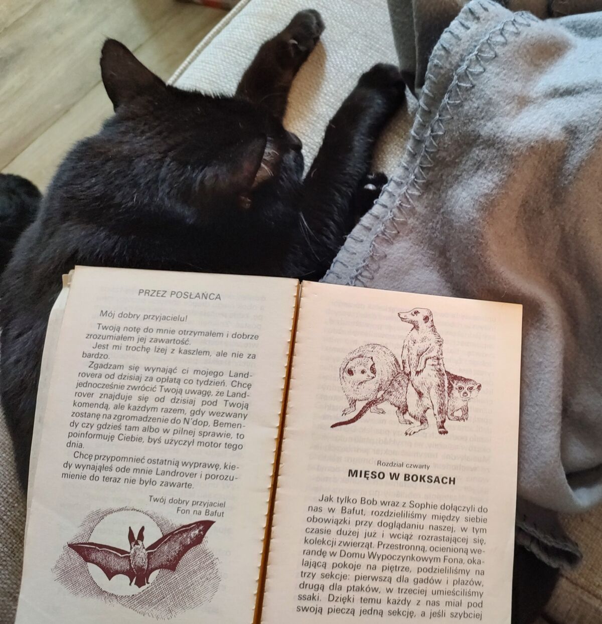 4ba778ed-12d7-4b81-a7da-f4338099d12a