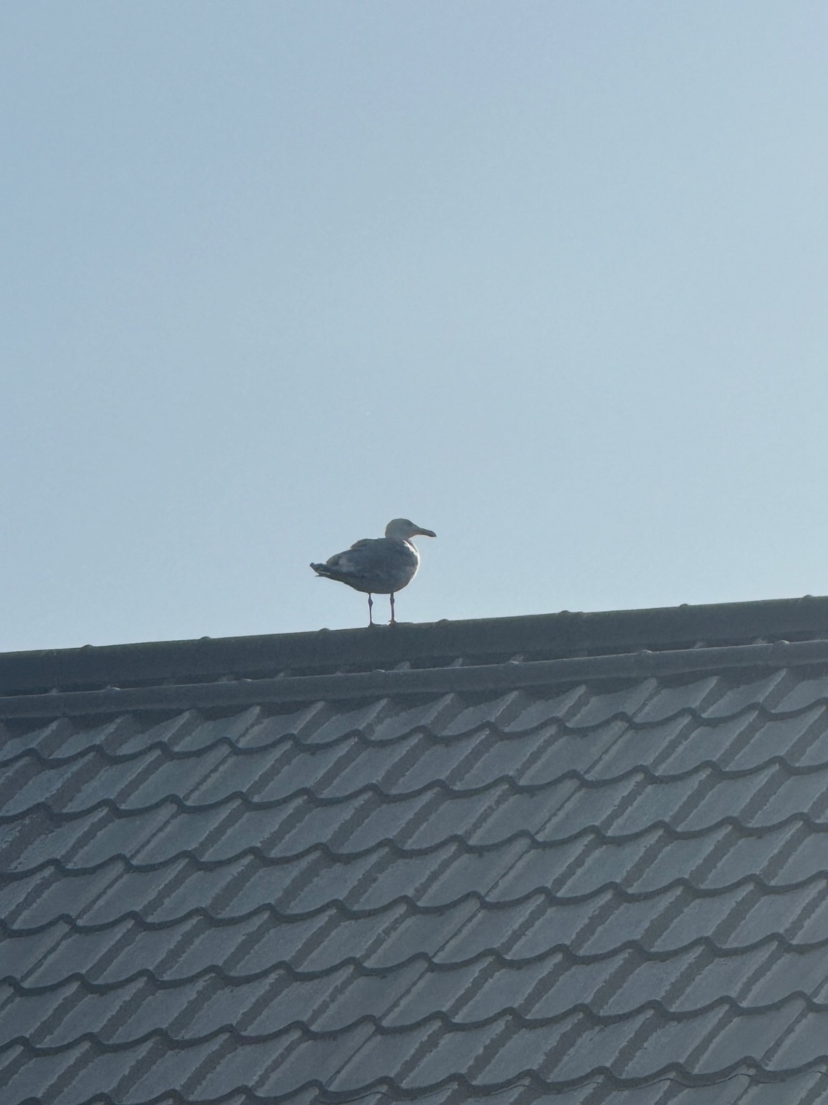 fc5bee07-9ed4-4208-8d61-fed6fba884d6