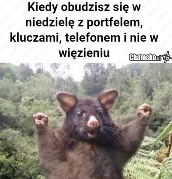 1360adb0-820f-41f9-aaa9-6cd5d3c634c8