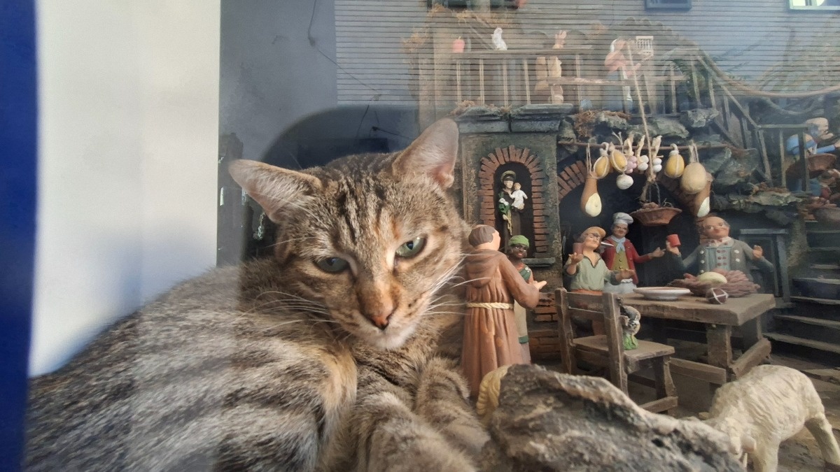 a533068c-bb07-4da8-a7b6-4e7afec4207b