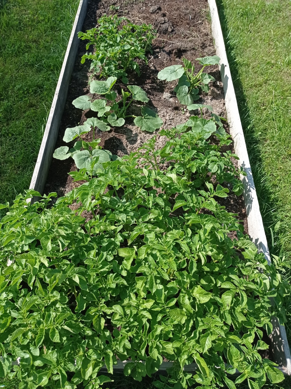 342fd9de-f3c6-4014-8d22-fa7df95da0e1