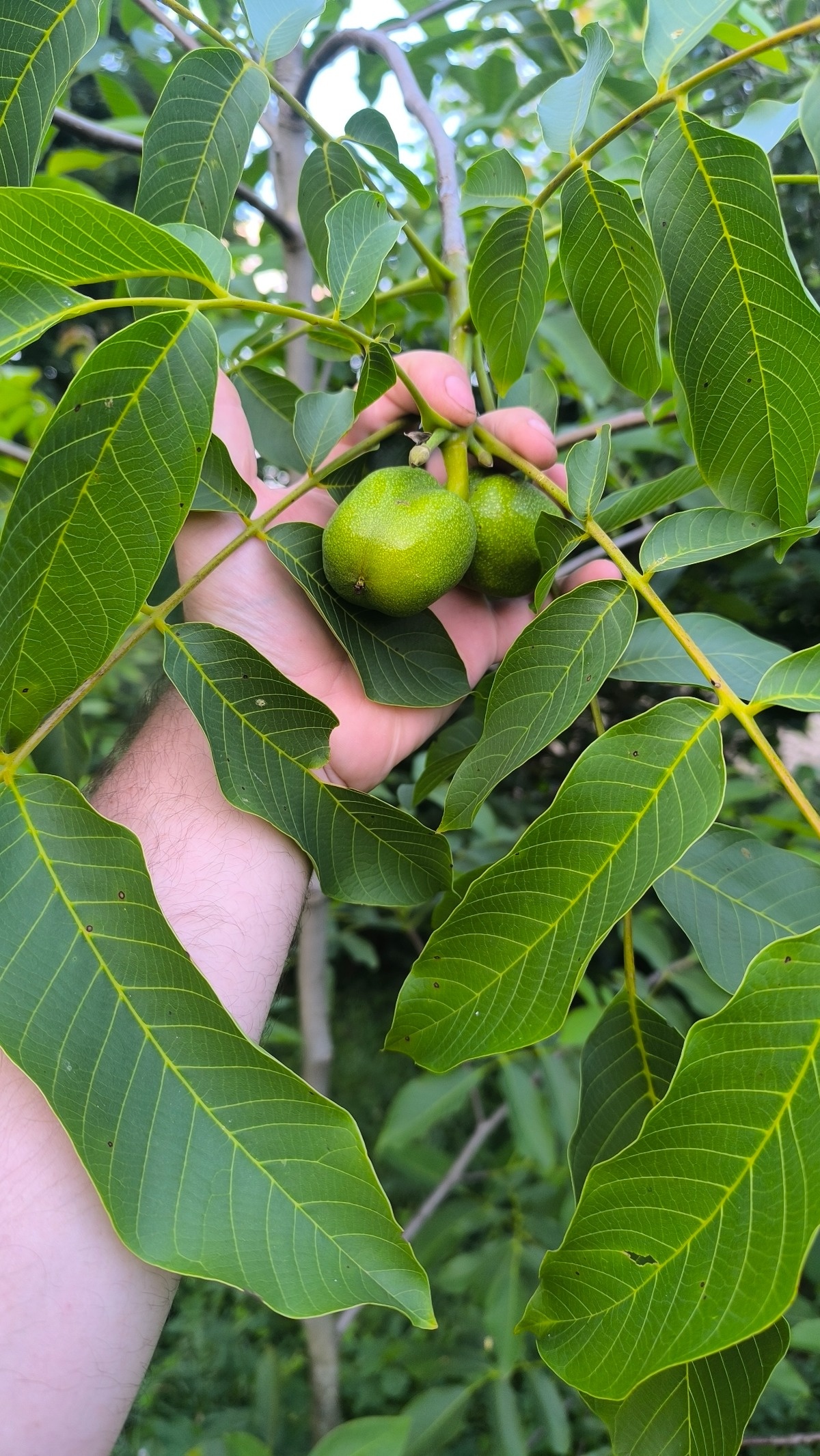 52765732-74dd-4a6d-96cc-54fbee3e3caf