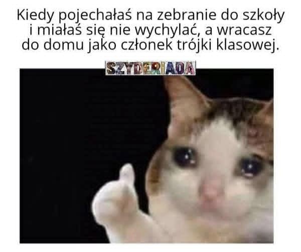 567e7007-0b6c-46f9-8e16-dd8fe33bebe2