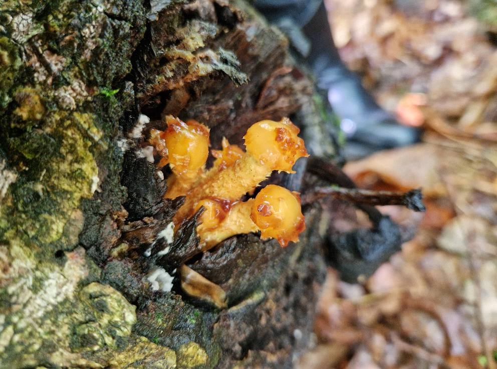 cad35dad-563e-4c1b-ab25-9970cbb9897f