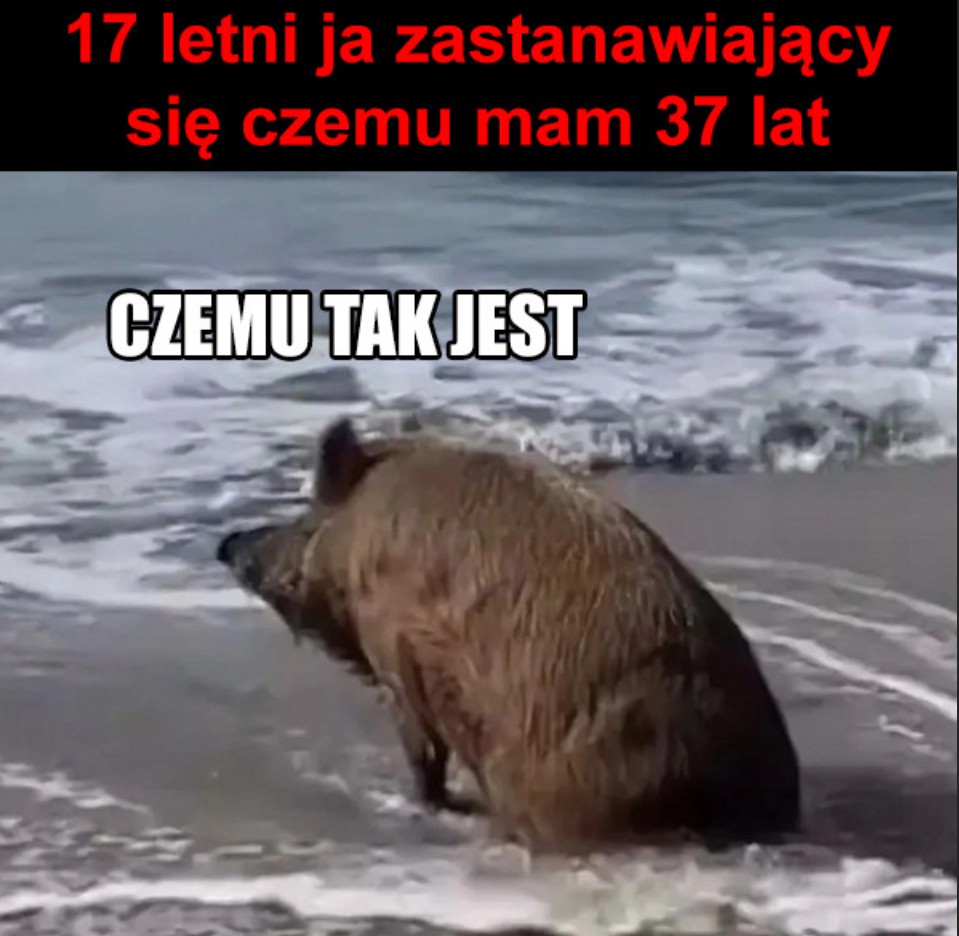 98f396d4-d588-4f07-82d3-98dc532e9107