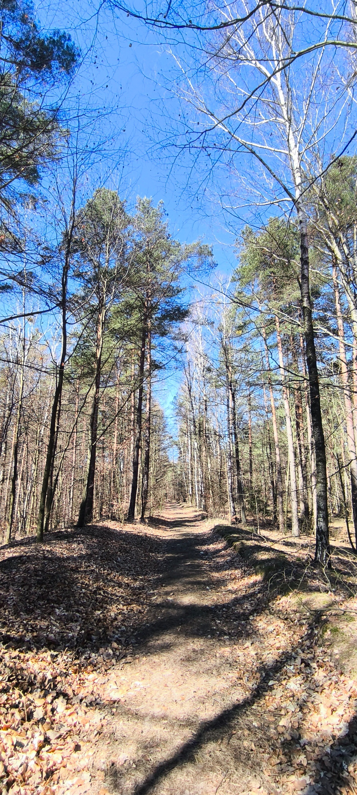 4327f2fa-47cb-457b-be5d-eb5079be3abb