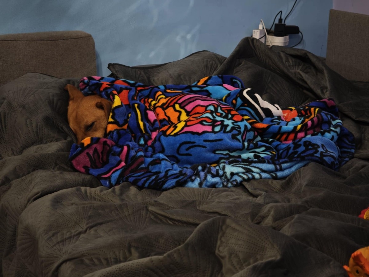 4dbb5f53-c7e9-4929-a9aa-04d20416824f