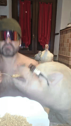 b3811dea-053e-404b-a827-a1f7ebae1aa1