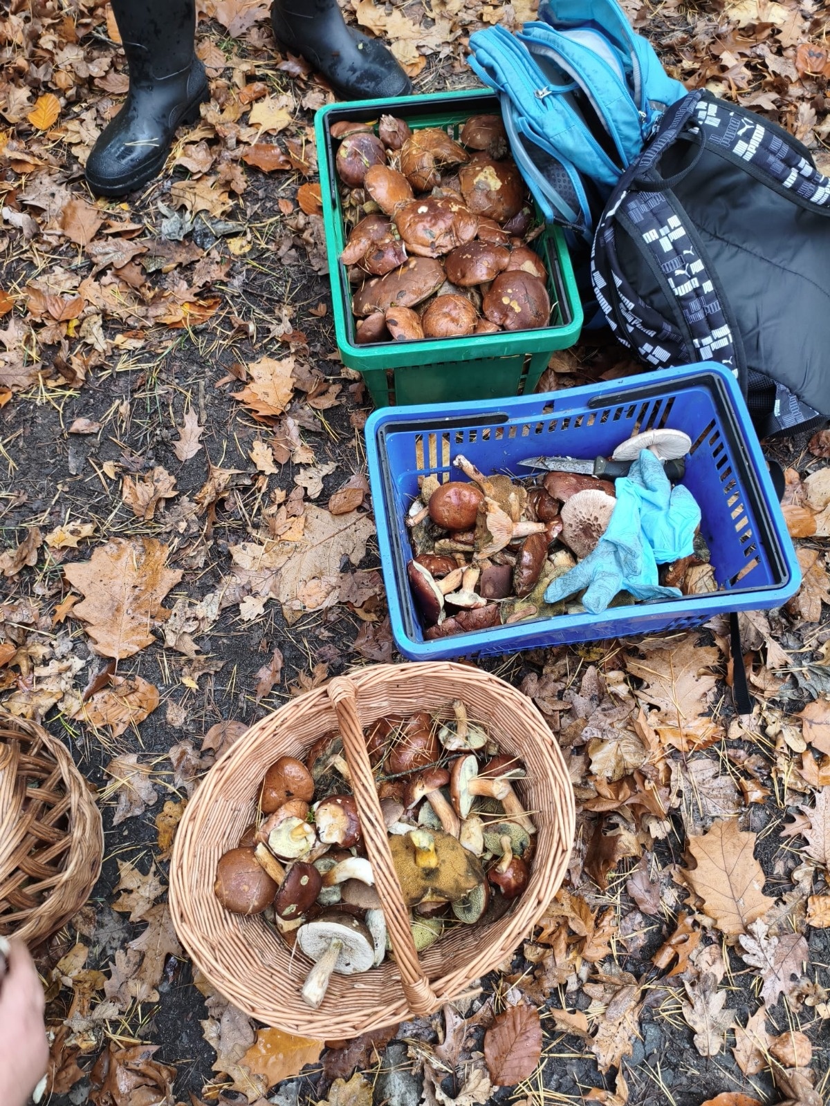 d9cd52ba-b3cb-4a6b-a625-20f4537ce138