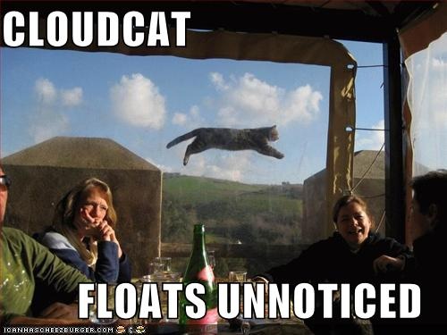 d9938575-e017-4c13-89a6-096af994f2c6