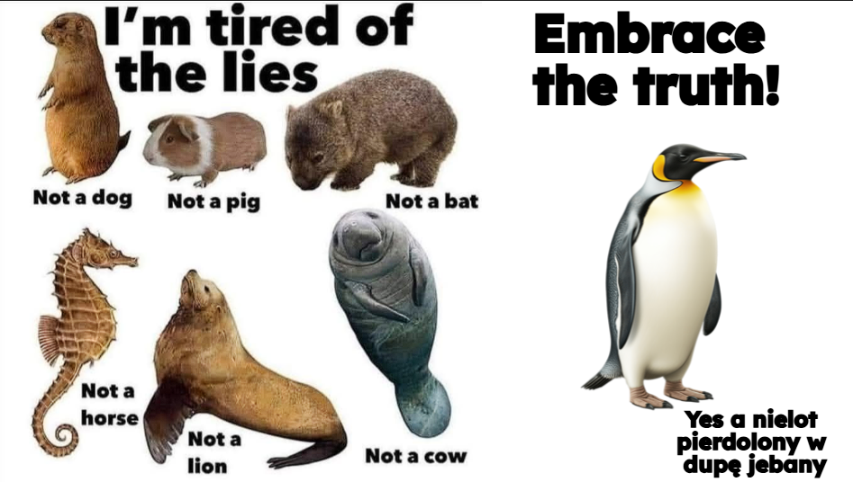 315d4ffe-8042-4e79-ac5f-ca2edc33025d