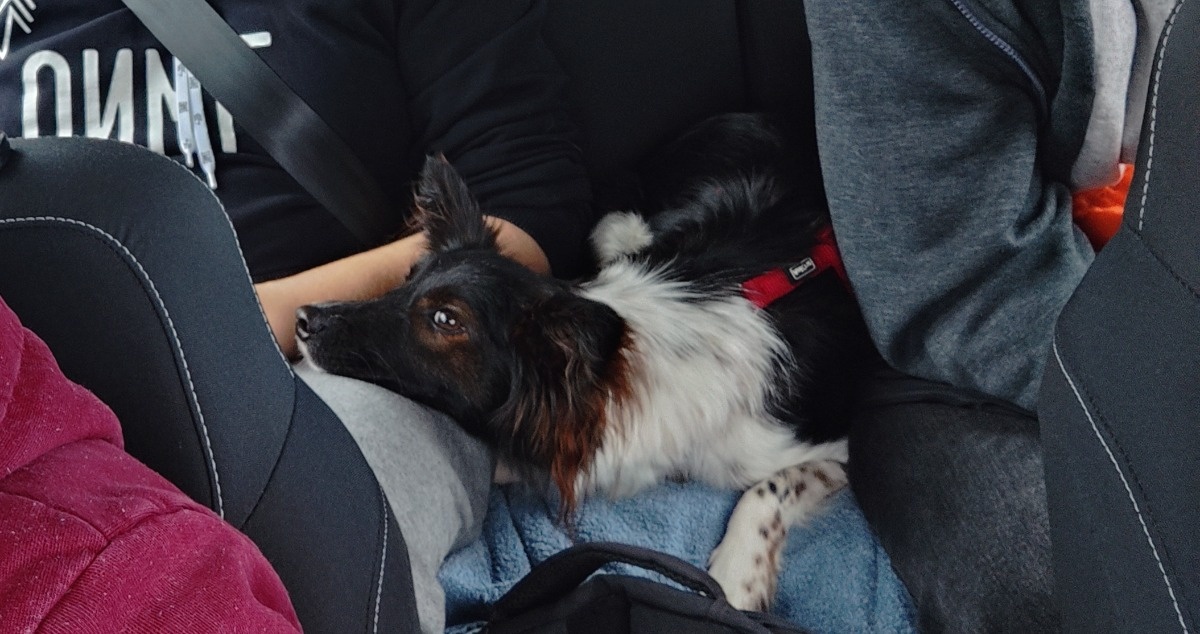 4ad404c3-737c-4c2b-ab23-7d33c956ed44